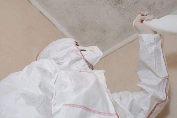 Best Emergency Mold Removal  in Carson City, NV