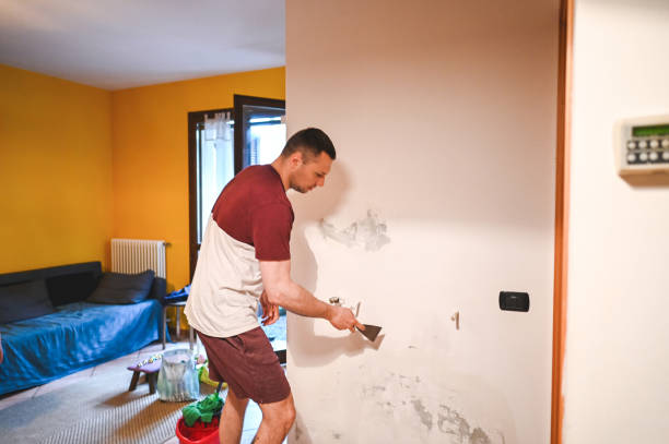 Reliable Carson City, NV Mold Removal Solutions
